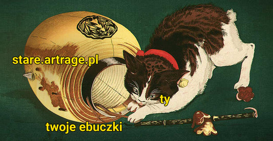 ⚠️ Ściągnij swoje e-booki z pakietów. Tylko do 29 lutego! ⚠️