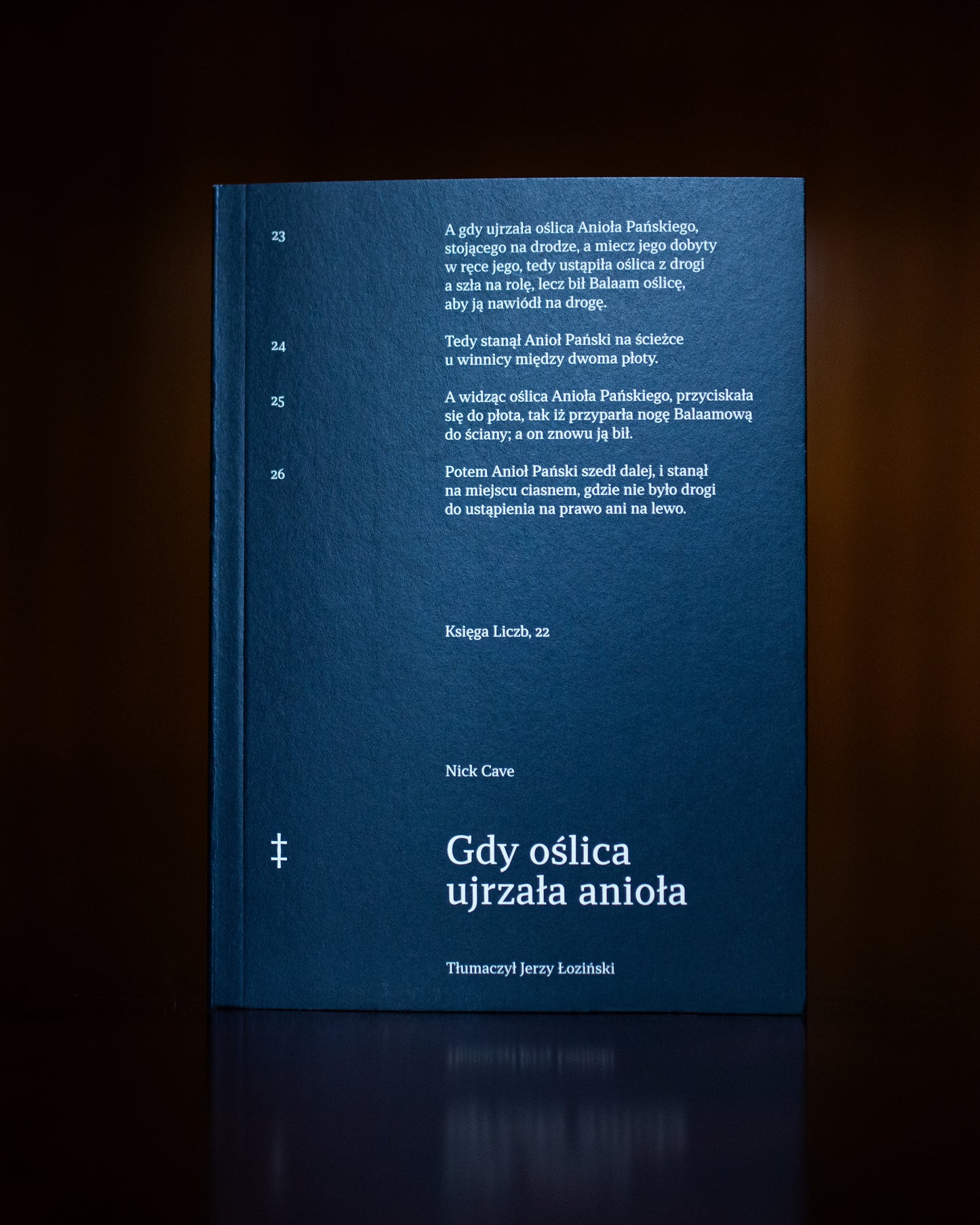 Gdy oślica ujrzała anioła