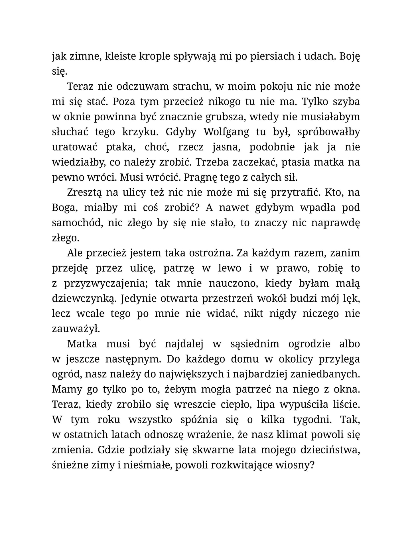 Zabijemy Stellę / Piąty rok